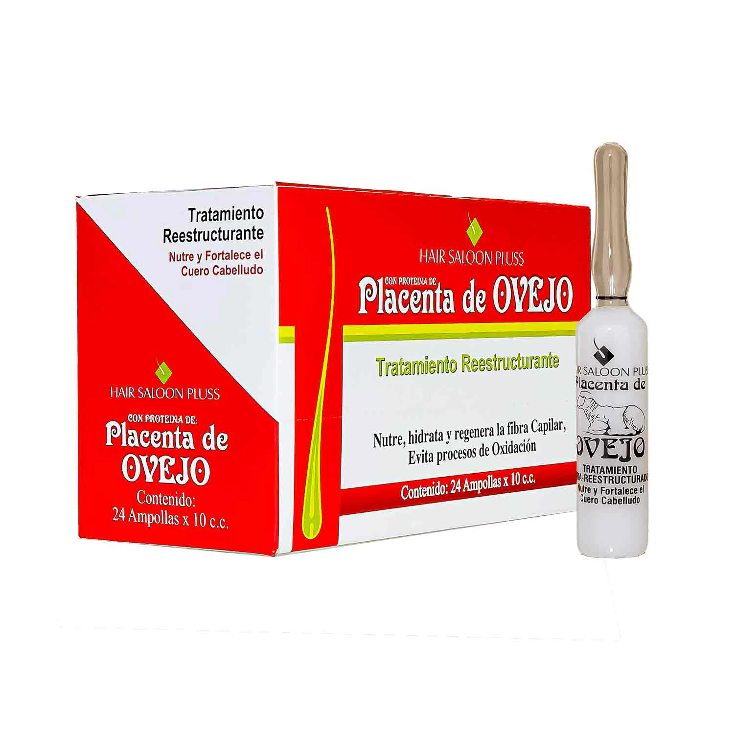 Placenta De Ovejo